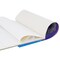 12" x 16" 10-Sheet 8-Ounce Triple Primed Acid-Free Canvas Paper Pad (Pack of 2 Pads), Canvas Paper for Acrylic Painting